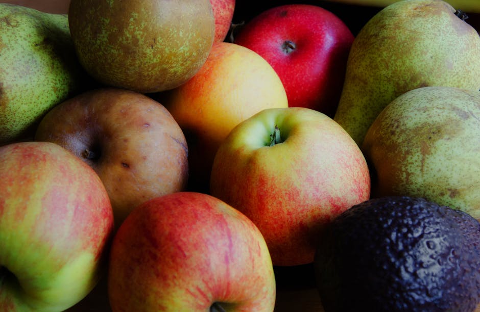 2026 年品牌官网设计趋势：苏州企业如何利用“果味”UI（Mac-style）打造高级感。