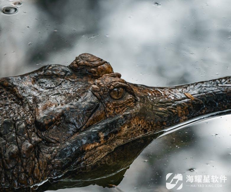 中小企业如何选择免费ERP系统？海耀星软件提供实用指南