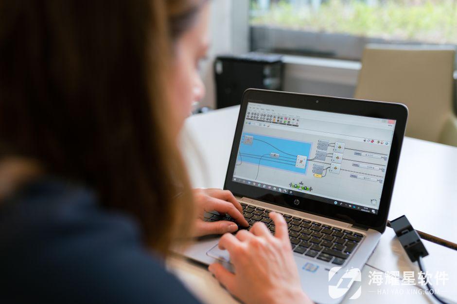 A woman engineer focuses on software analysis using a laptop indoors.